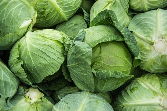 CABBAGE (PATTAGOBHI) (500gm)